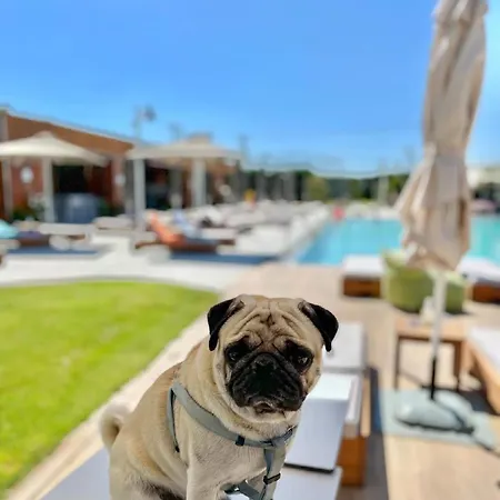 Hotel Perinthos